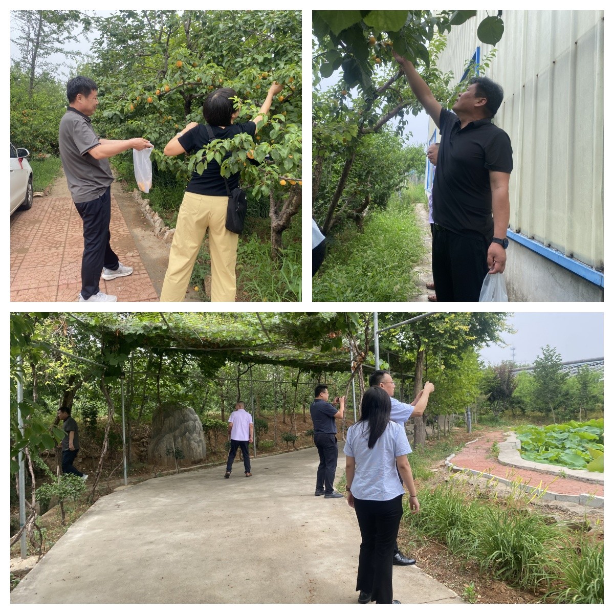 1760341559345413.jpg 1.jpg