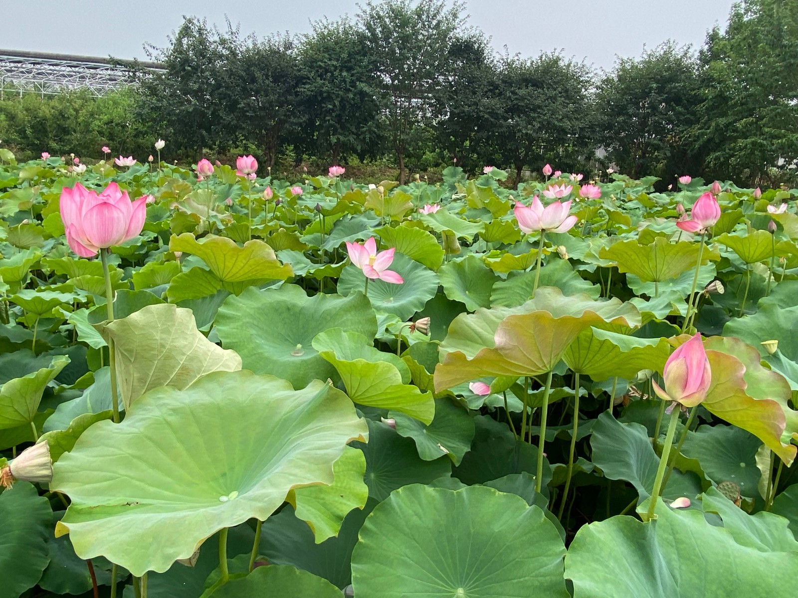 1760341606622602.jpg 0202.jpg